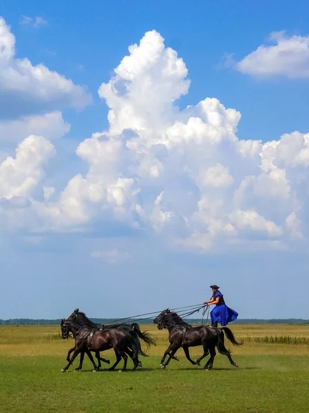 Macar puszta gösterisinde at