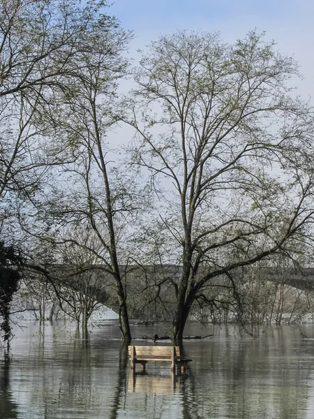 Inundação de rio Ticino — Fotografia de Stock