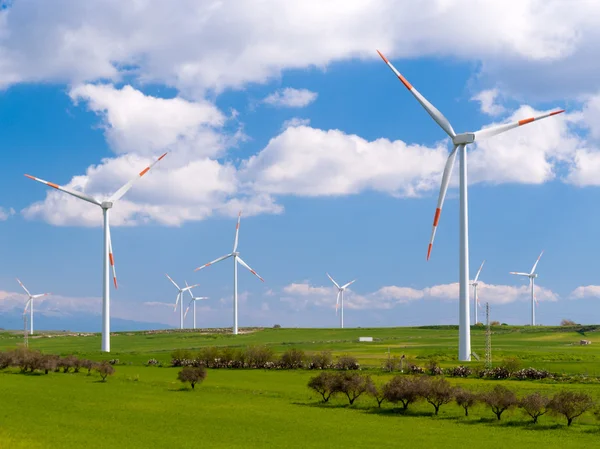 Wind farm in a field — Stock Photo, Image