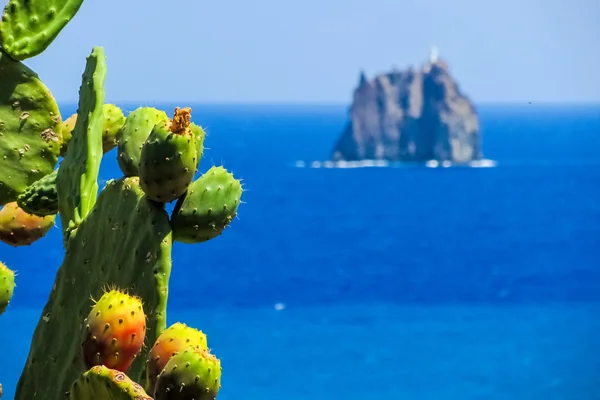 Peras espinosas en la isla de Stromboli — Foto de Stock