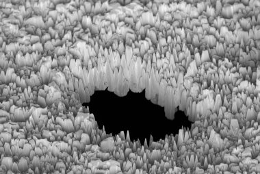 Surface of a metal with a hole observed with an electron microscope clipart