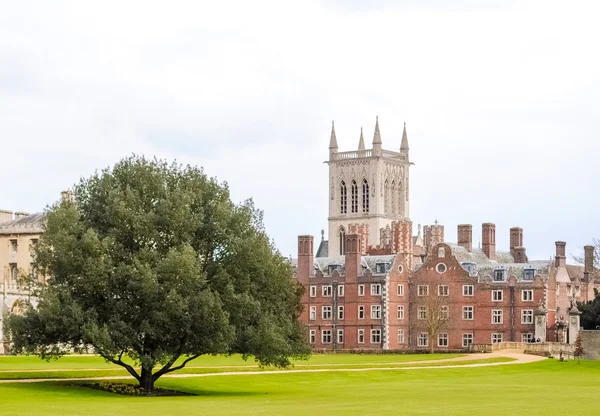 Prado en Cambridge (Reino Unido) con gran árbol y una torre en el fondo — Foto de Stock