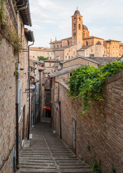 Narrow alley in the city center of Urbino — Stock Photo, Image