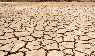 Kurak toprak çatlaklar ile
