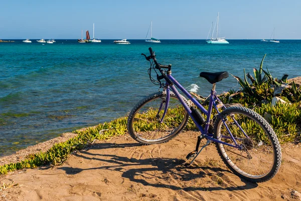 Paarse fiets in de buurt van de kustlijn met zee en boten in de achtergrond — Stockfoto