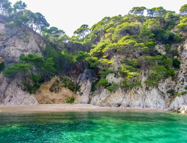 Línea costera cerca de Tossa de Mar (España) ) — Foto de Stock