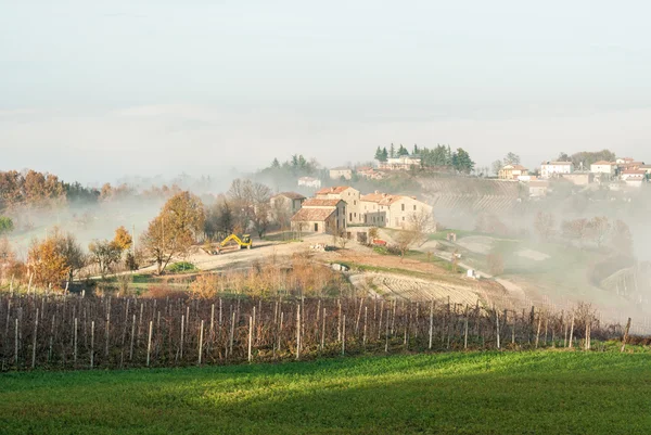Vignobles et ferme dans les collines d'Oltrepo 'Pavese (Italie du Nord) ) — Photo