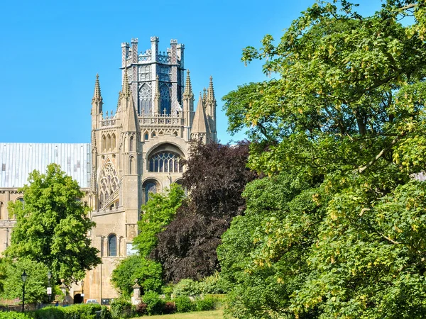 Blick auf die Kathedrale von Ely hinter den Bäumen — Stockfoto