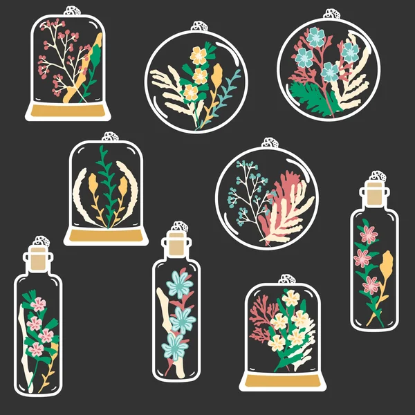 Set of hand drawn floral terrariums. Vector clip art — Stock vektor