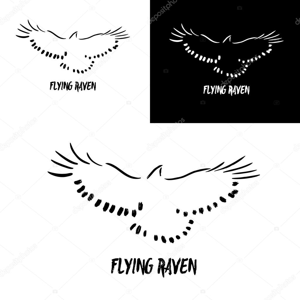Grunge flying raven logo template. Vector illustration isolated on white. Artistic gesture painting. Black and white crow
