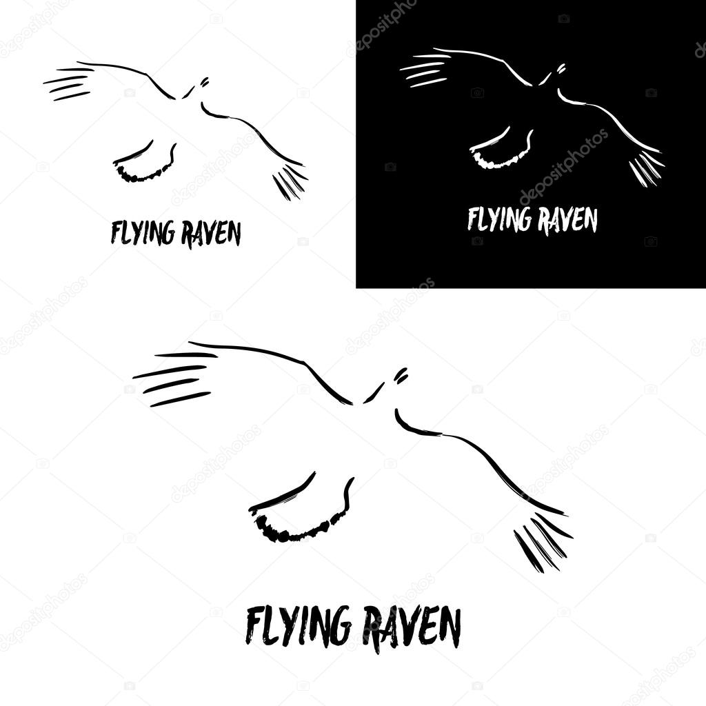 Grunge flying raven logo template. Vector illustration isolated on white. Artistic gesture painting. Black and white crow