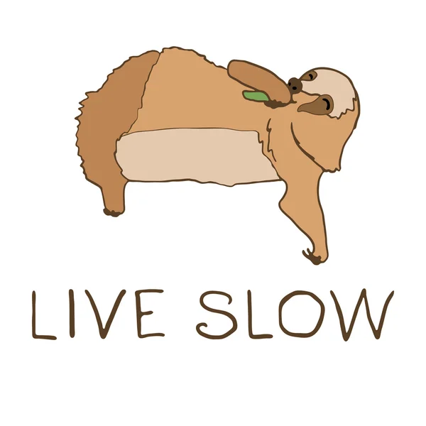 Vector illustration of cute eating sloth — ストックベクタ
