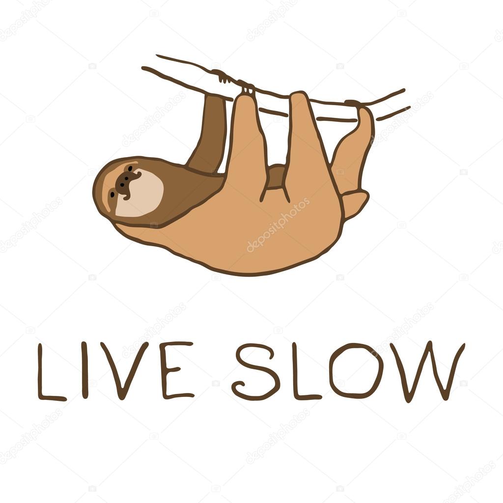 Vector illustration of cute hanging sloth