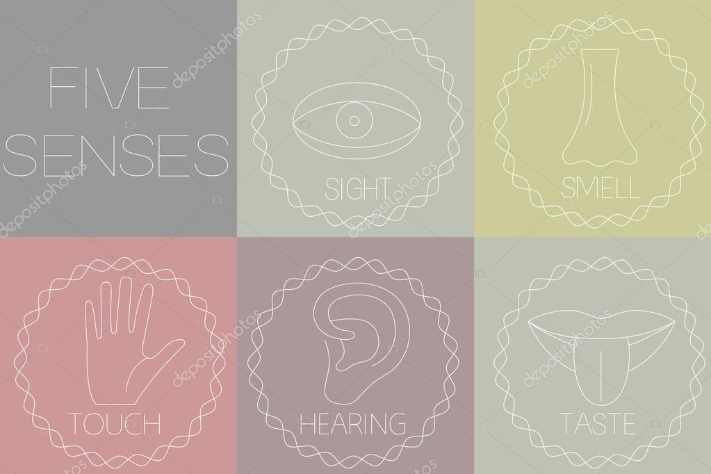 Five senses icon set - Vector Illustration