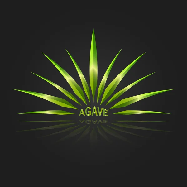 Agave — Stockový vektor