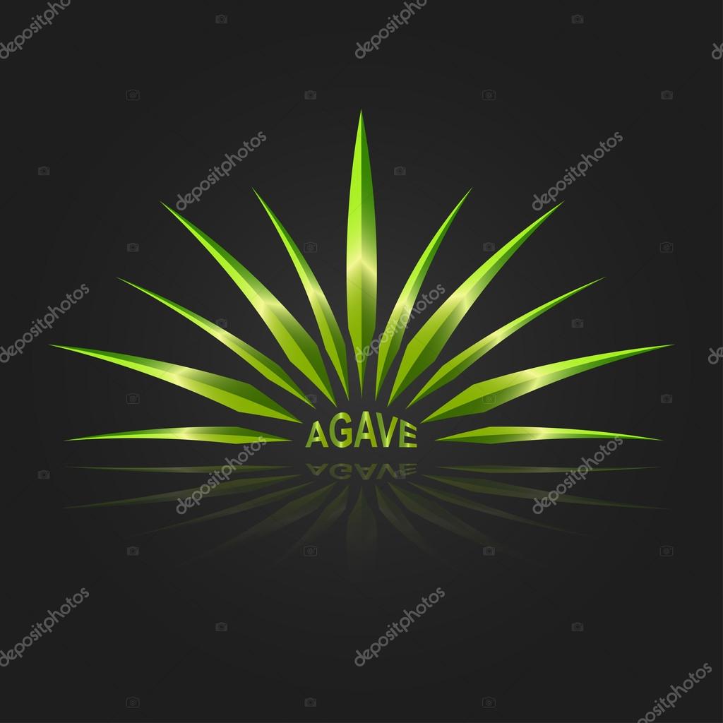 Agave vector design template