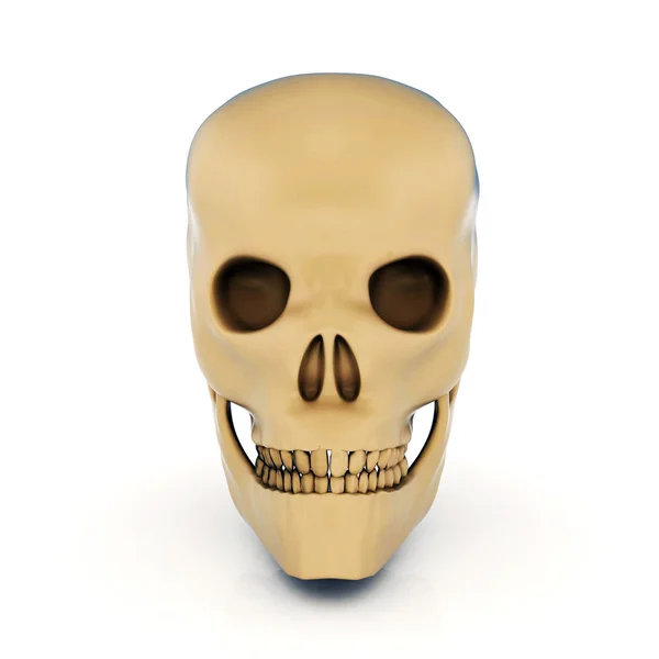 3d brillante cráneo humano — Foto de Stock