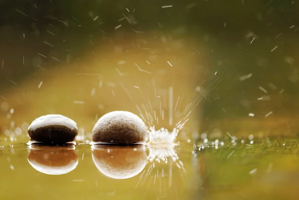 马可在下雨的日子里拍摄的蘑菇 — 图库照片