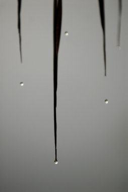 Çiçek ve yaprak üzerinde su damlası