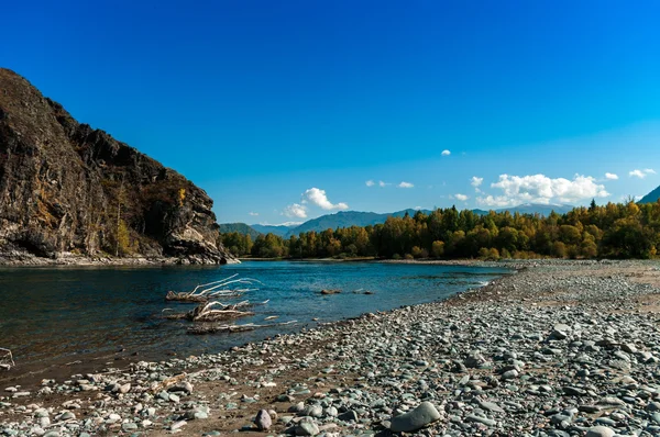 Coberto com pedras costa montanha rio — Fotografia de Stock