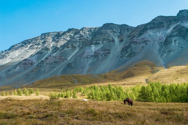 Atları eteklerinde otlatmak