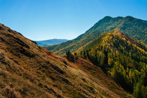 Pass on the forested hills — Stock Photo, Image