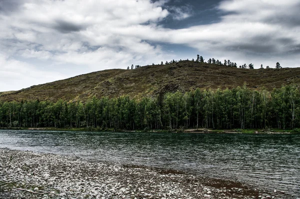 Bulutlu bir günde ormanlık tepeler arasında dağ nehir akar