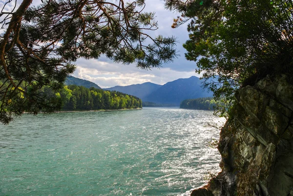 View of the wide mountain river off a cliff, overgrown with trees — Stock Photo, Image