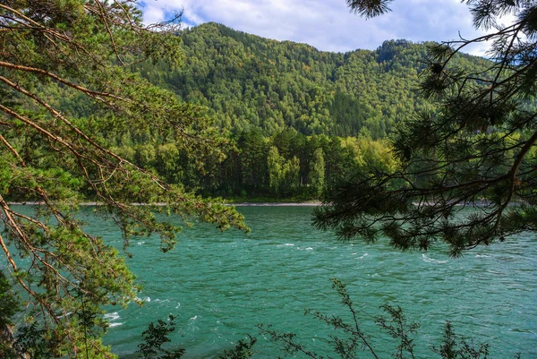 Широка зелена річка, що тече біля підніжжя гір, покритих лісами . — стокове фото