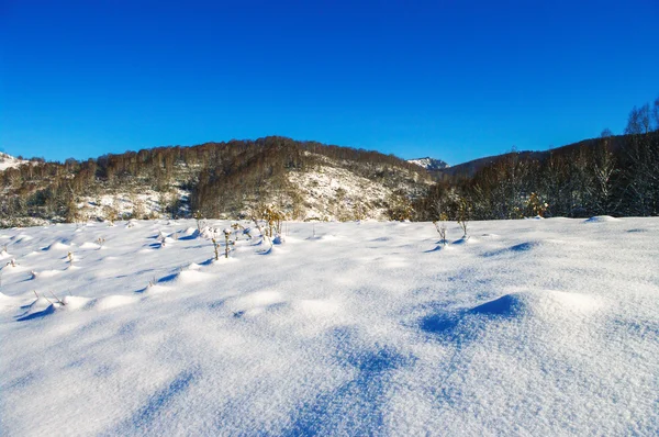 Meadow covered with snow in the mountains in winter. — Stock Photo, Image