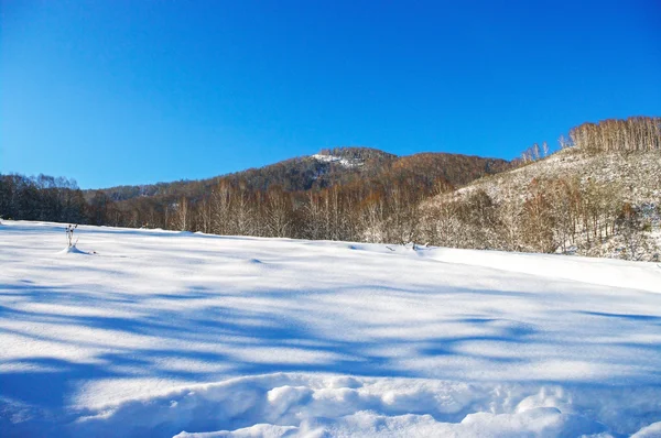 Meadow covered with snow in the mountains in winter. — Stock Photo, Image