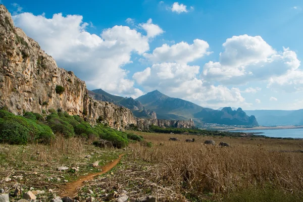 San Vito — Foto de Stock