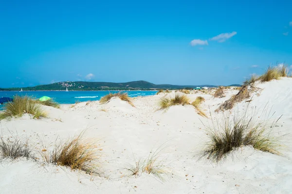 Beach in Sardinia — Stock Photo, Image