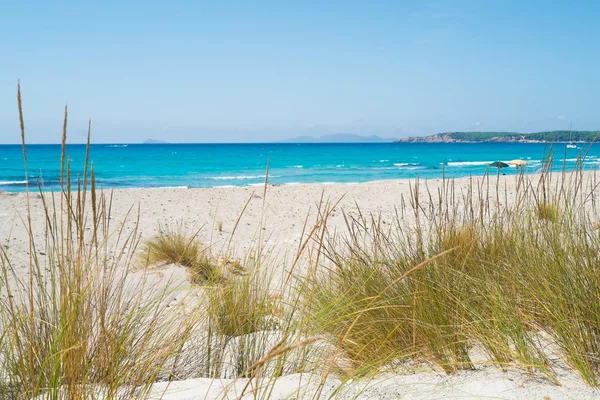 Playa de Cerdeña — Foto de Stock