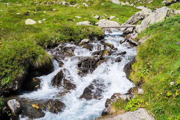 Mountain river — Stock Photo, Image