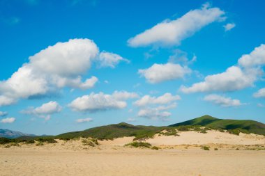 Sand dunes in Sardinia clipart