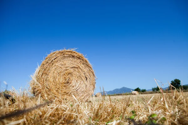 Hay bale — Stock Photo, Image