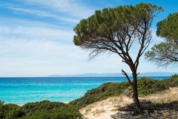Playa de Cagliari — Foto de Stock