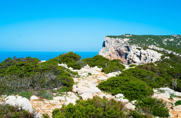 Capo Caccia — Stock fotografie