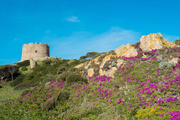 Torre spagnola — Foto Stock