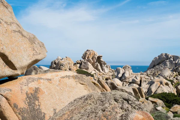 Capo testa, ne — Foto Stock