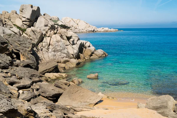 Capo testa, ne — Foto Stock