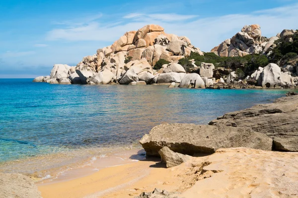 Capo testa, ne — Foto Stock