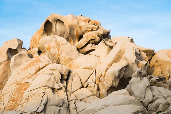 Capo testa, ne — Foto Stock