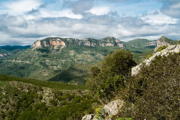 Wild Sardinia — Stock Photo, Image