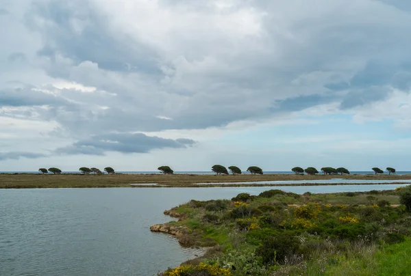 Wasserteich — Stockfoto