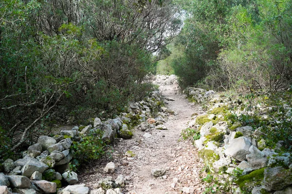 Trilha de trekking na Sardenha — Fotografia de Stock