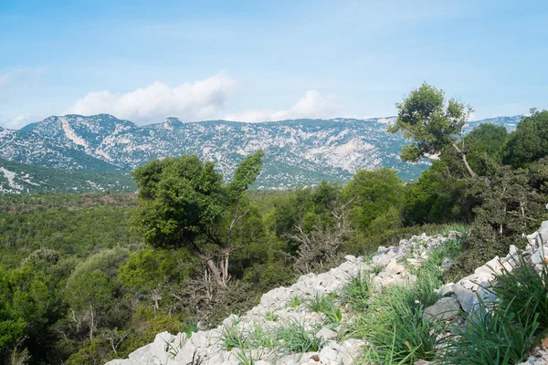 Landscape in Sardinia — Stock Photo, Image