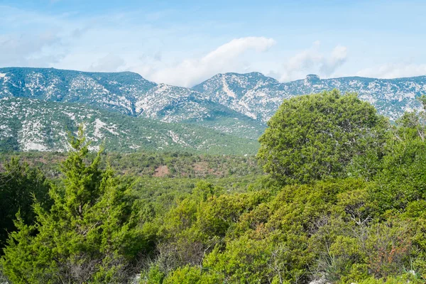 Landscape in Sardinia — Stock Photo, Image