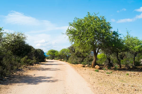 Road in Sardinia — Stock Photo, Image